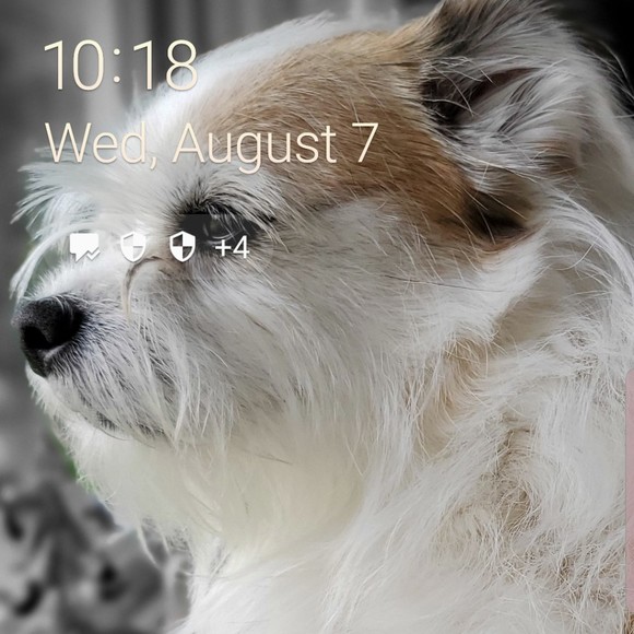 Meet your Posher, Cindy - Picture 1 of 1